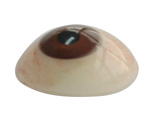 黔南微雕义眼定制
